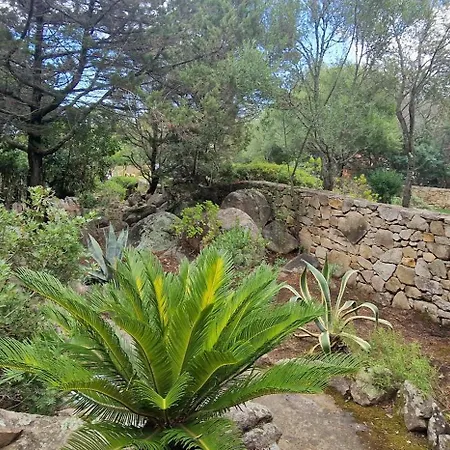 Porto Pollo, Villino Smeraldo Holiday home *